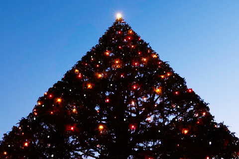 【大人気！イルミネーションツアー】